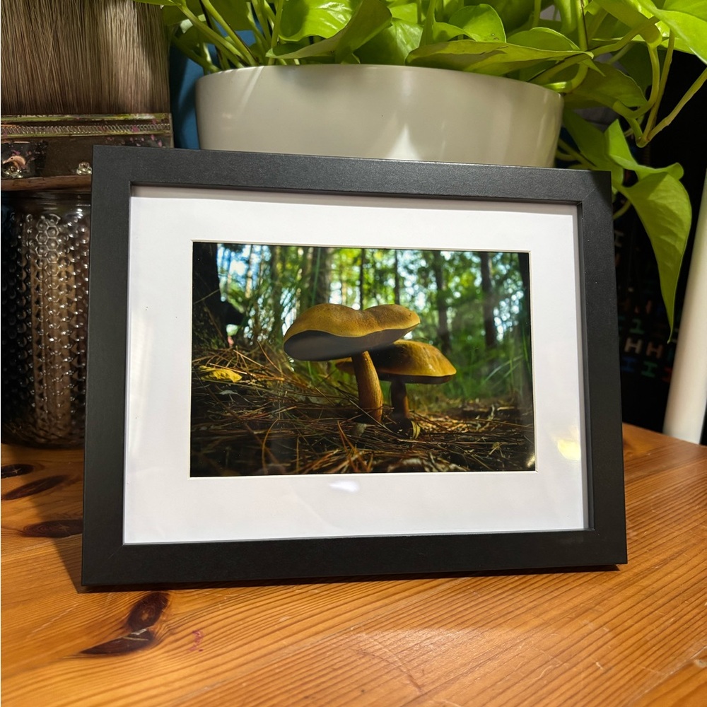 “River Shrooms” 🖤  4” x 6” Framed Original Print by deSmit Design - Picture 4 of 4